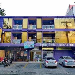Bohol Coop Tourist Inn